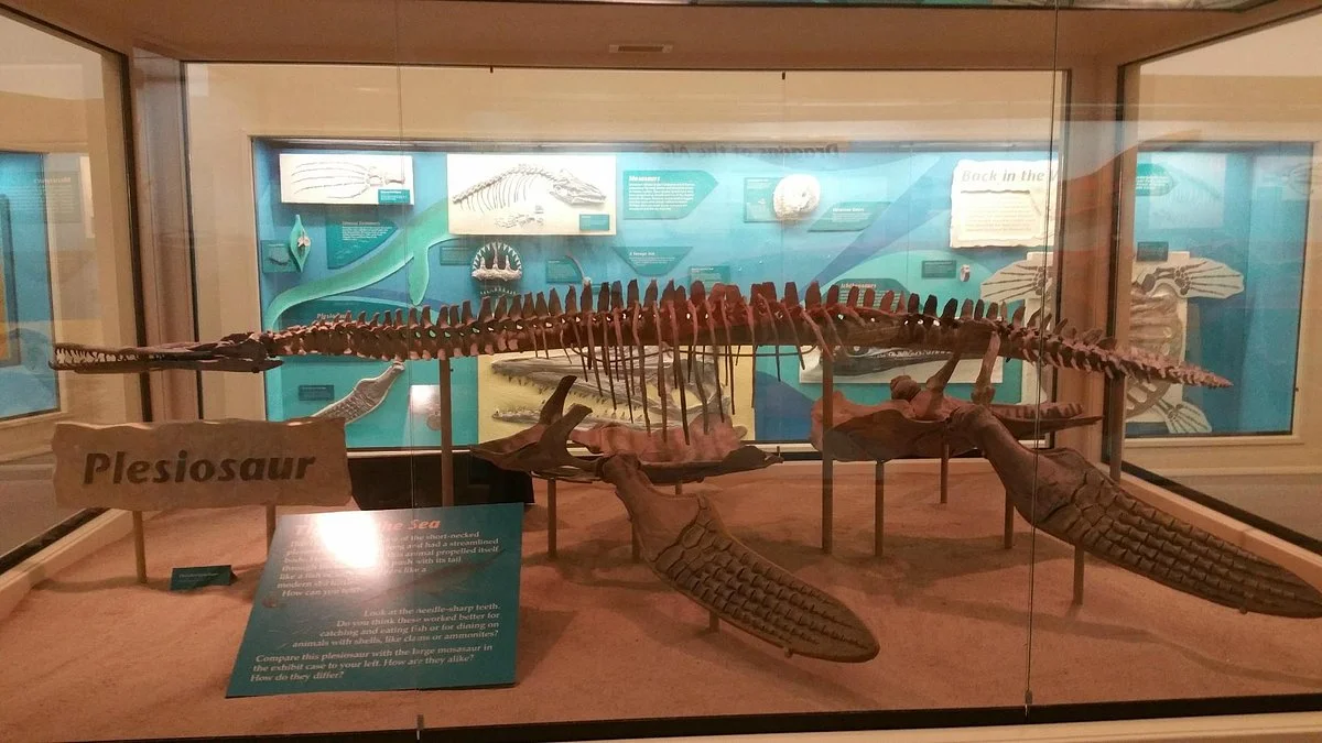 Sternberg Museum of Natural History