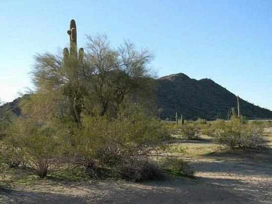 Sonoran Desert National Monument
