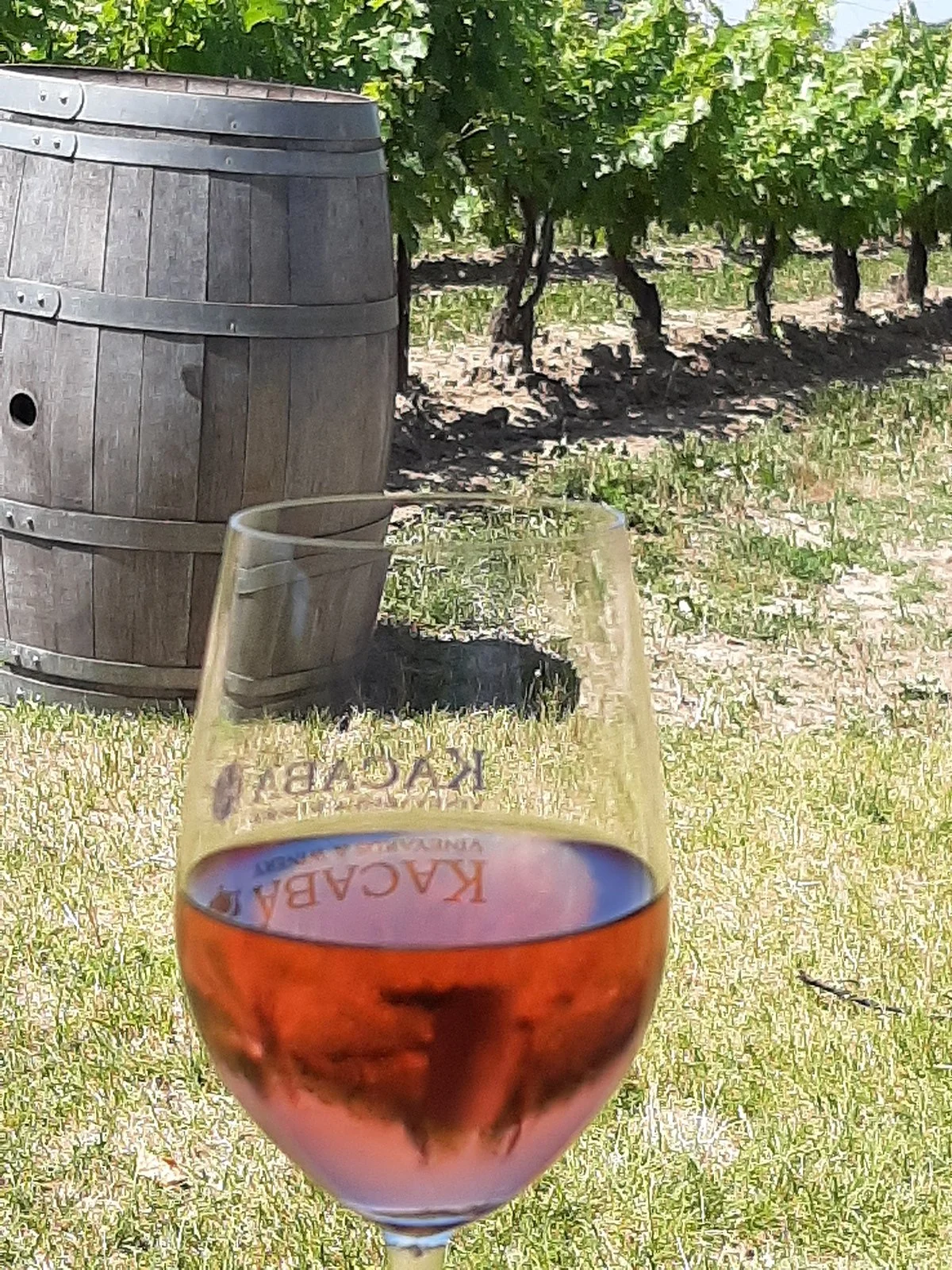 Kacaba Vineyards Winery