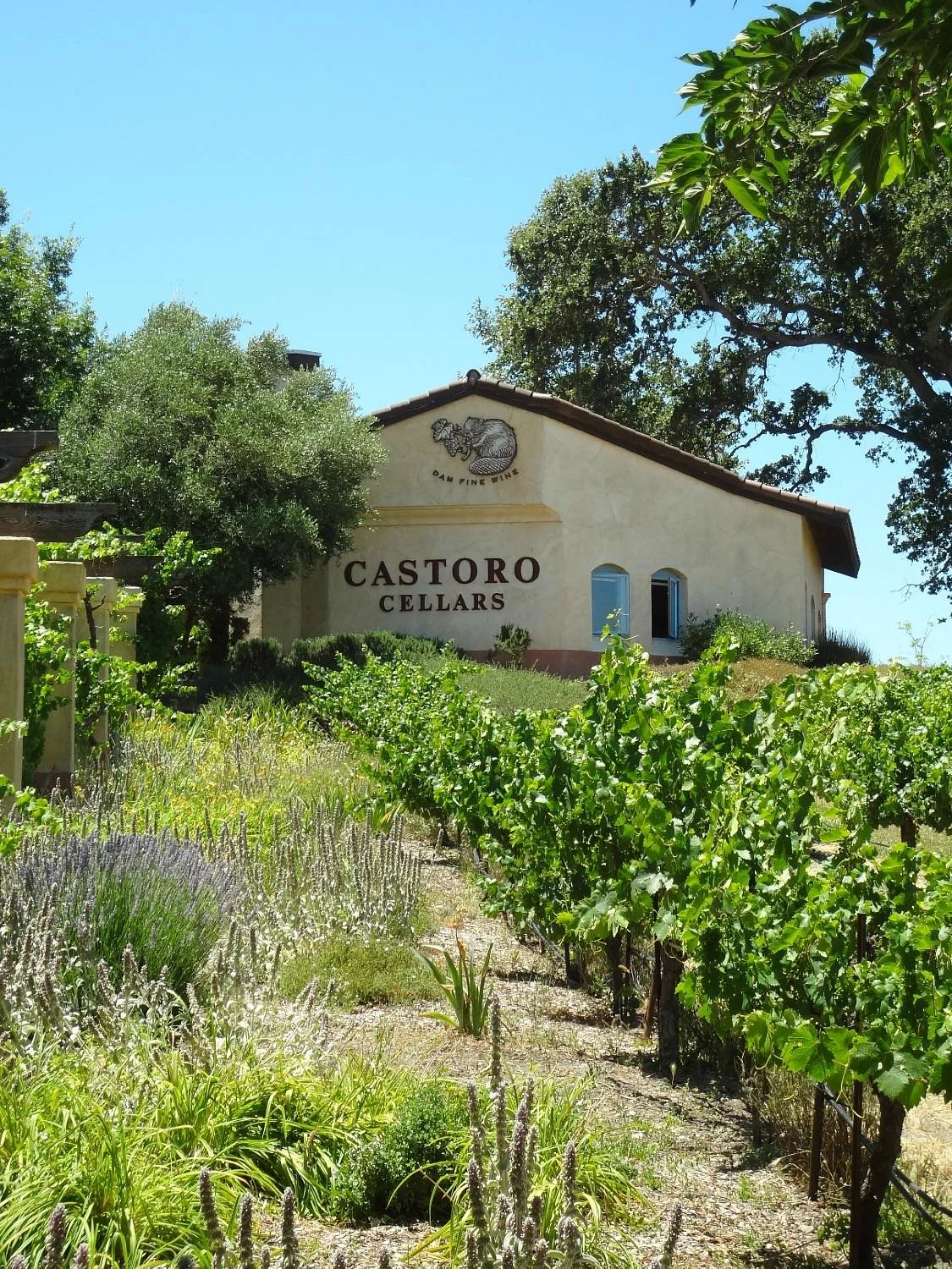 Castoro Cellars