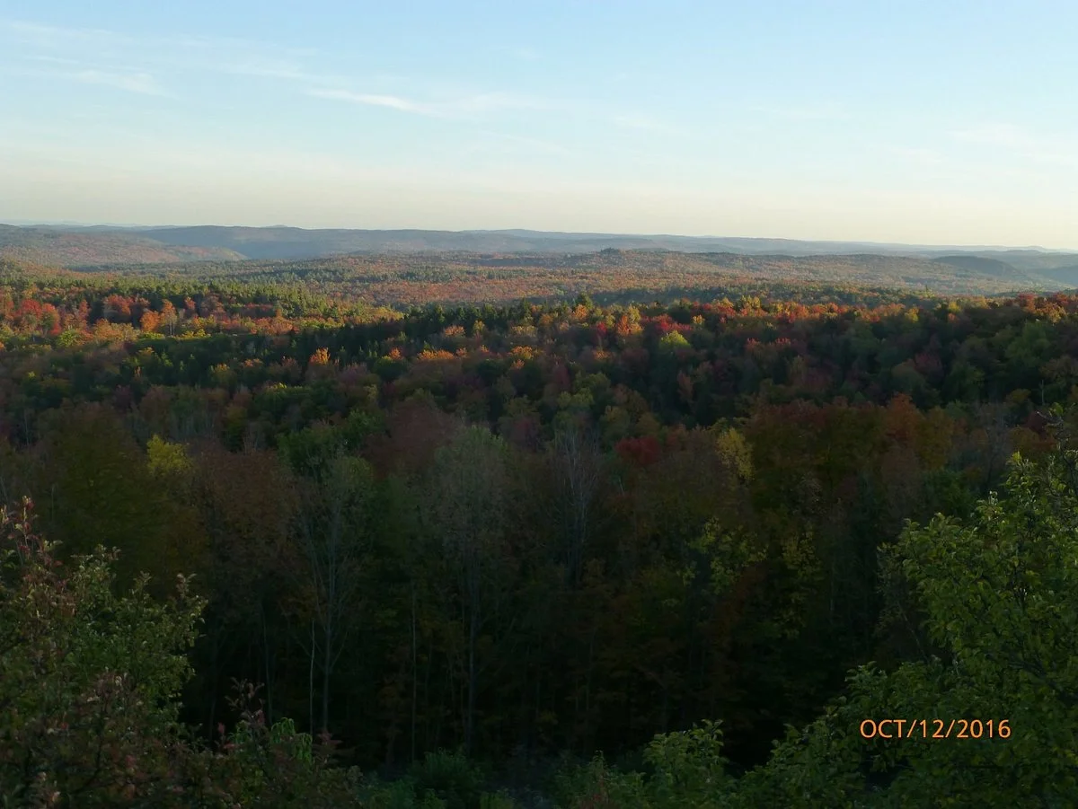 Skyline Overlook
