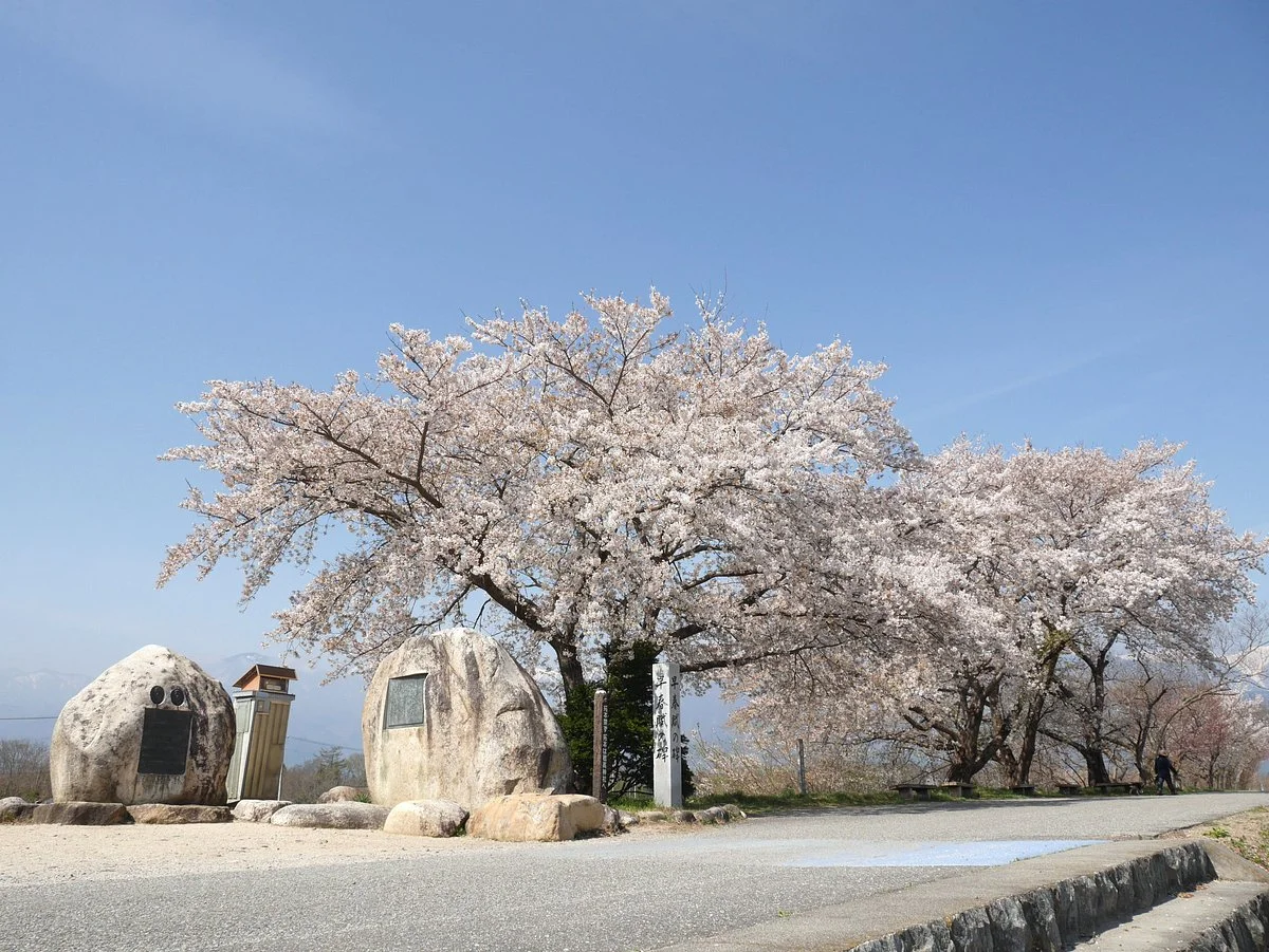 Soshunfu Kahi Park