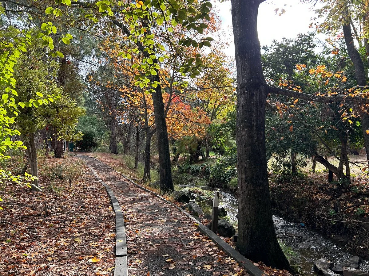 Markham Nature Park and Arboretum