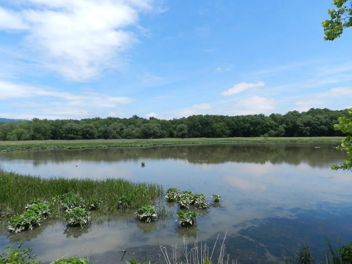 Wildwood Park