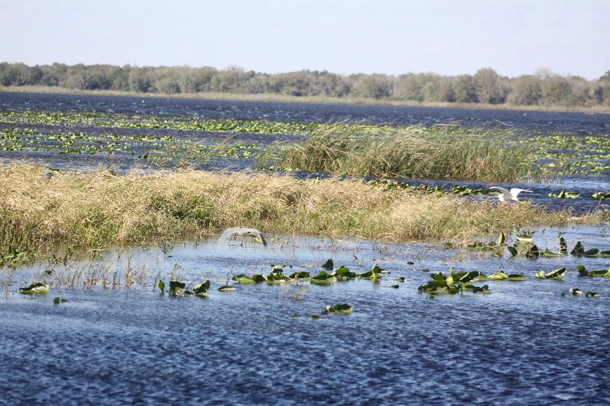 Three Lakes Wildlife Management Area