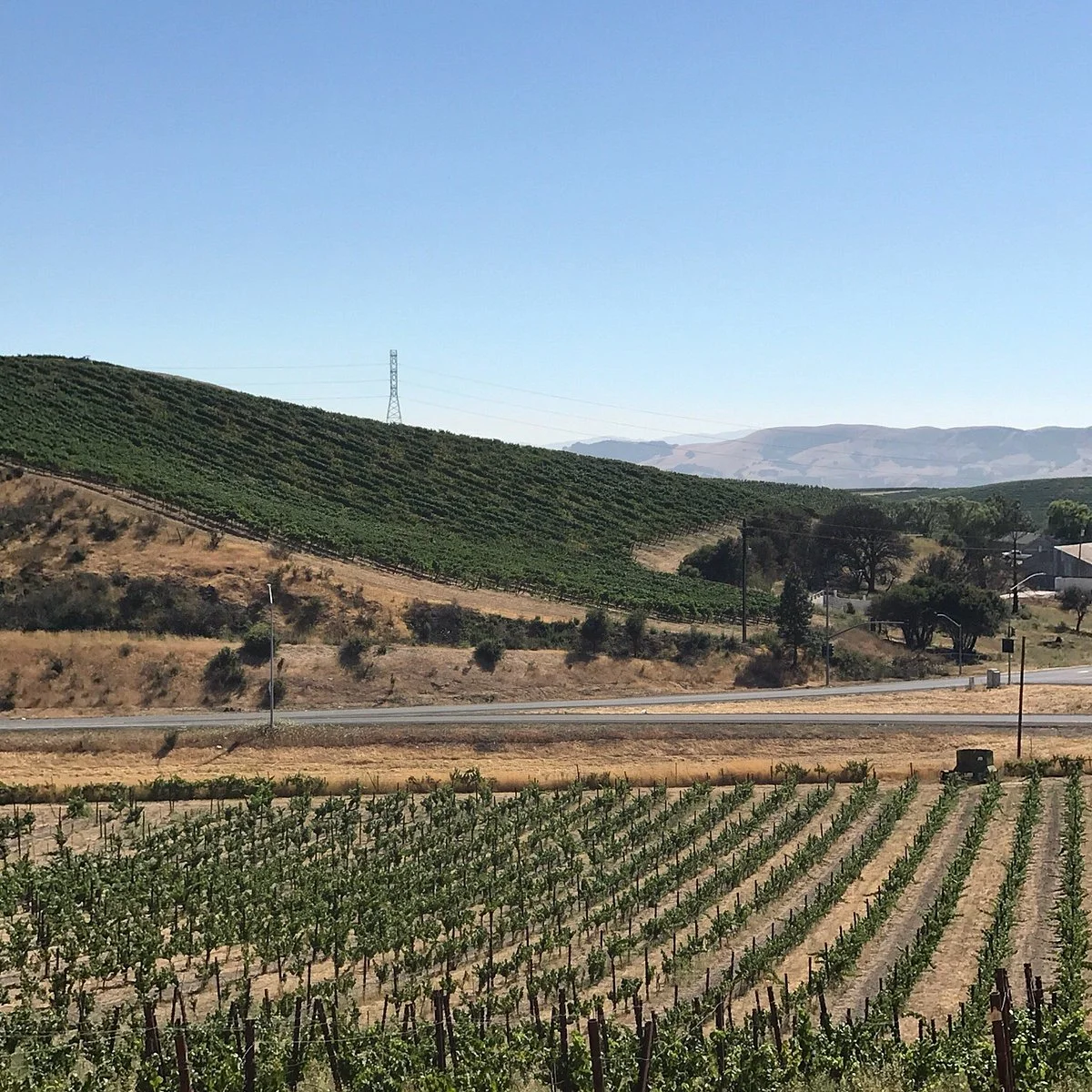 Nicholson Ranch
