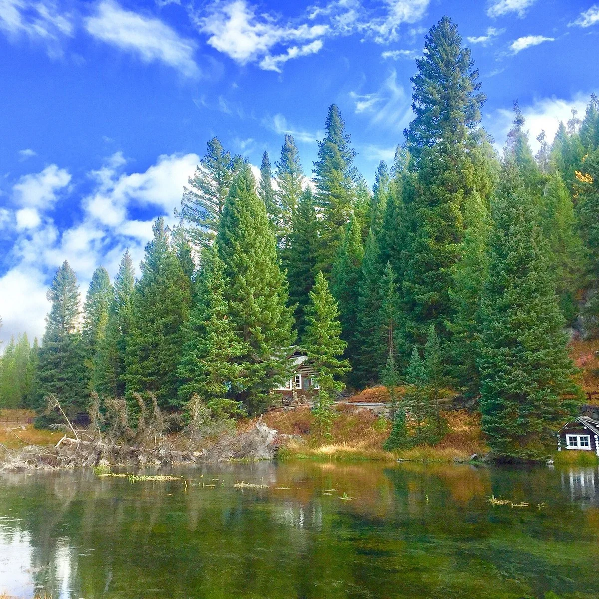 Johnny Sack Cabin
