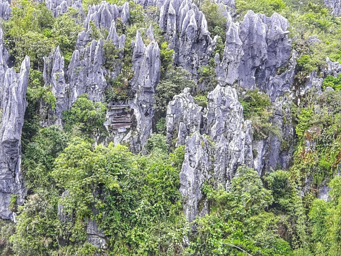 The Hanging Coffins Of Sagada