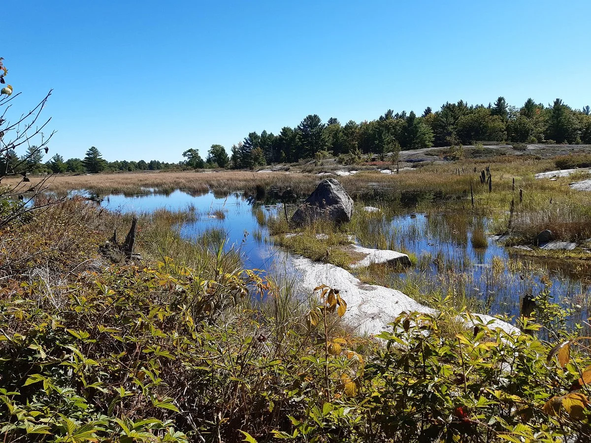 Torrance Barrens Dark-Sky Preserve