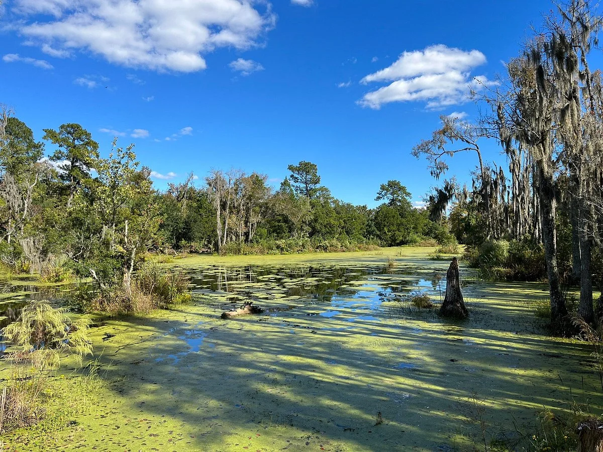 Audubon Swamp Garden