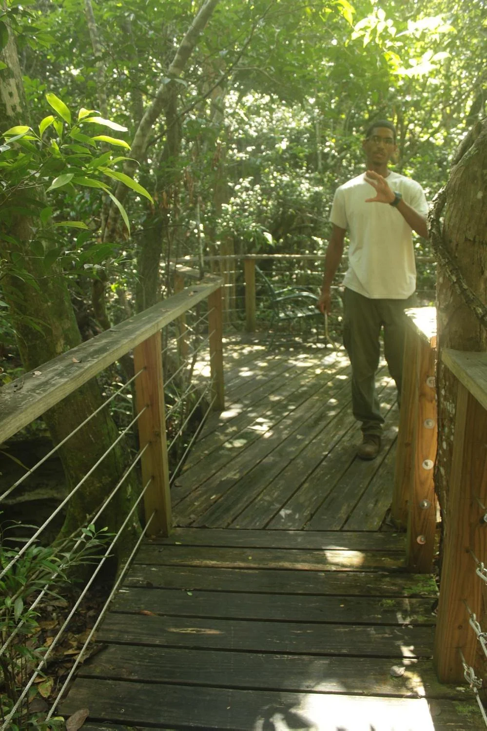 Primeval Forest National Park