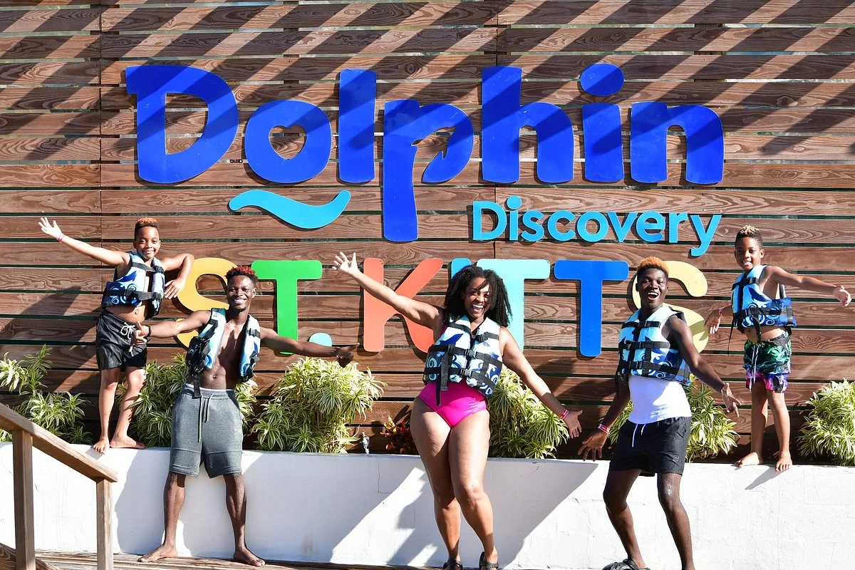 Dolphin Discovery St. Kitts