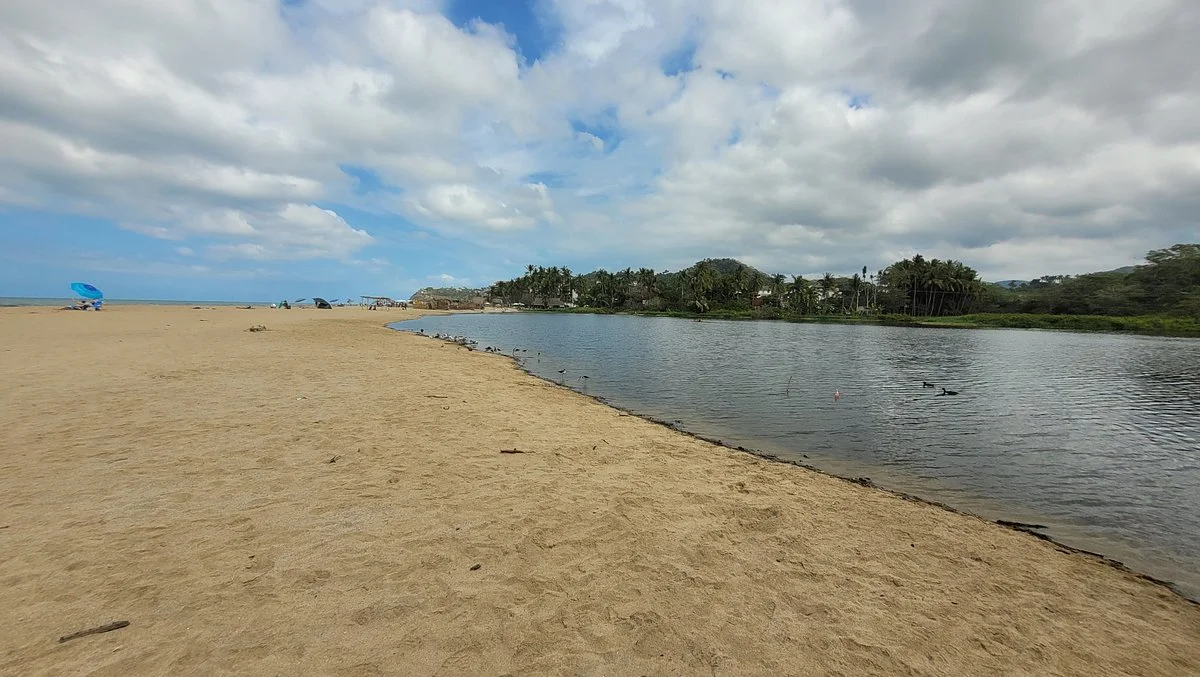 San Pancho Bird Observatory