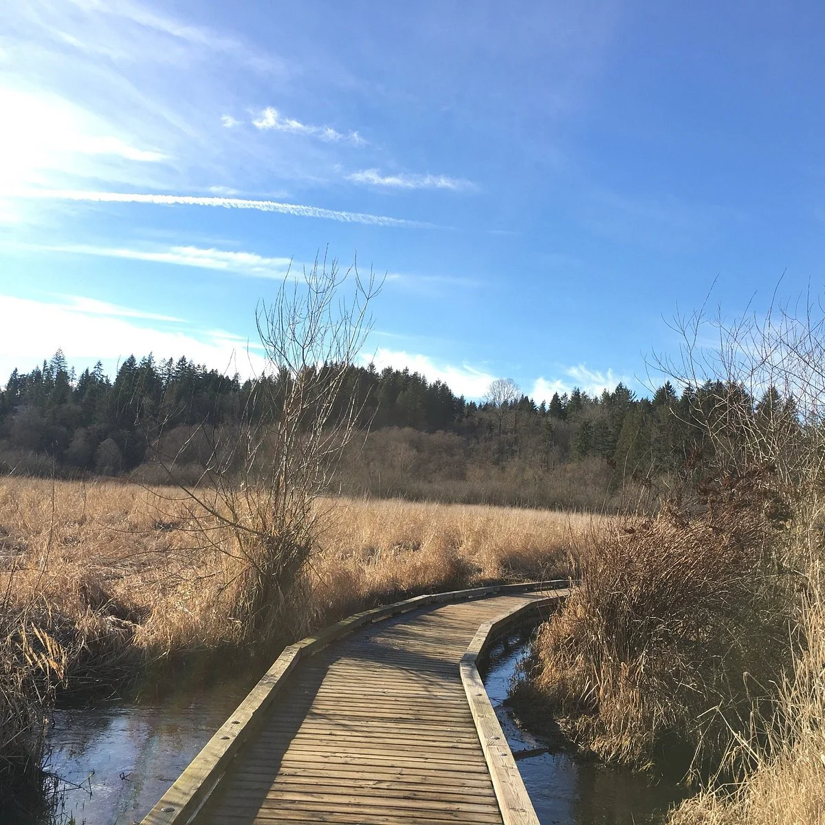 North Creek Park