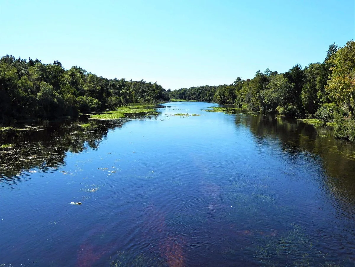 Ocala National Forest
