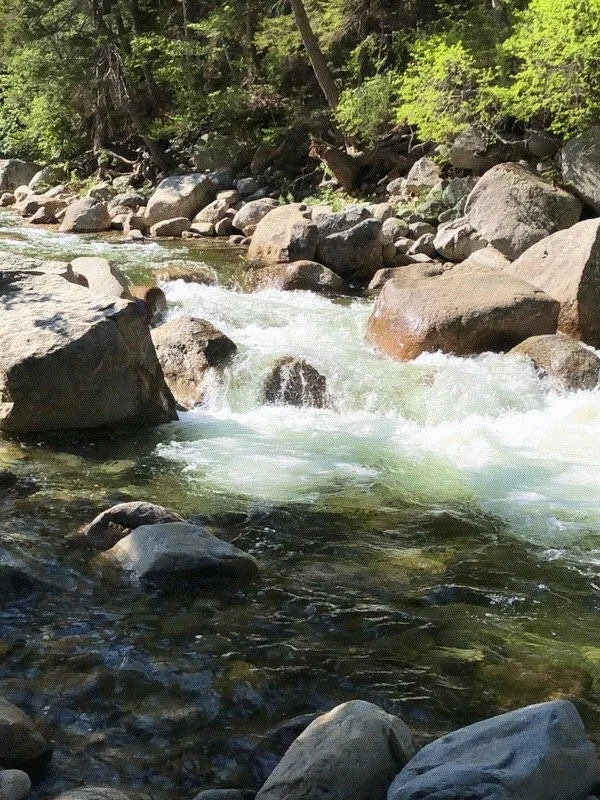 Lincoln Woods
