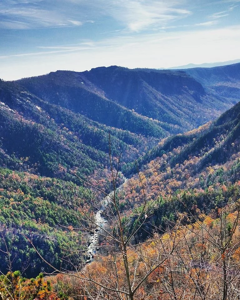 Wiseman's View