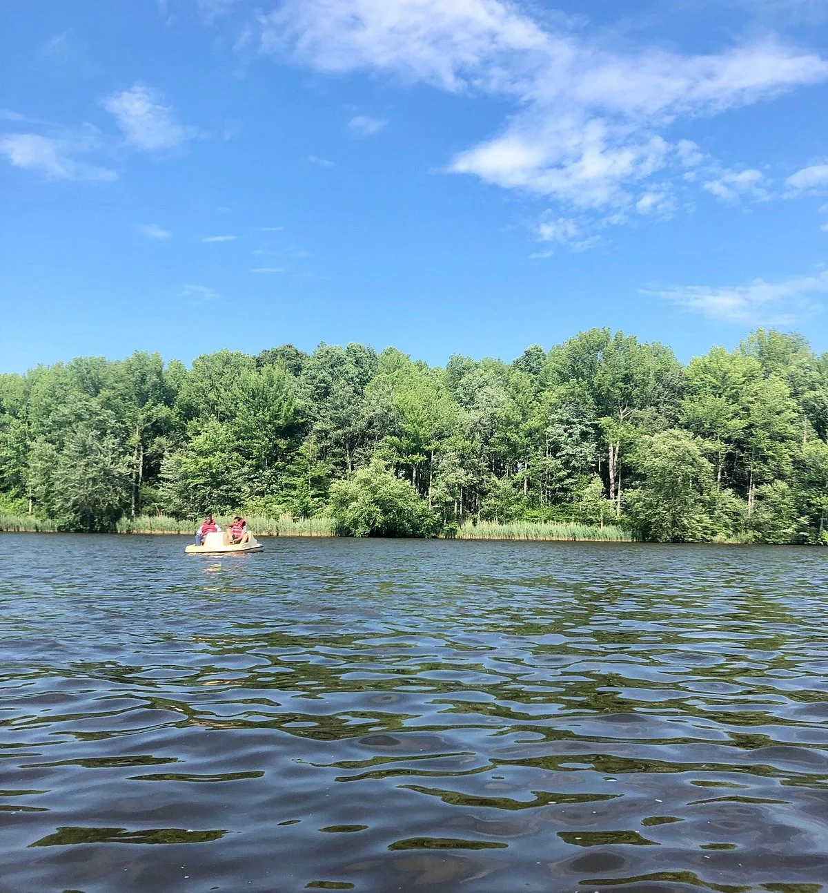 Lums Pond State Park
