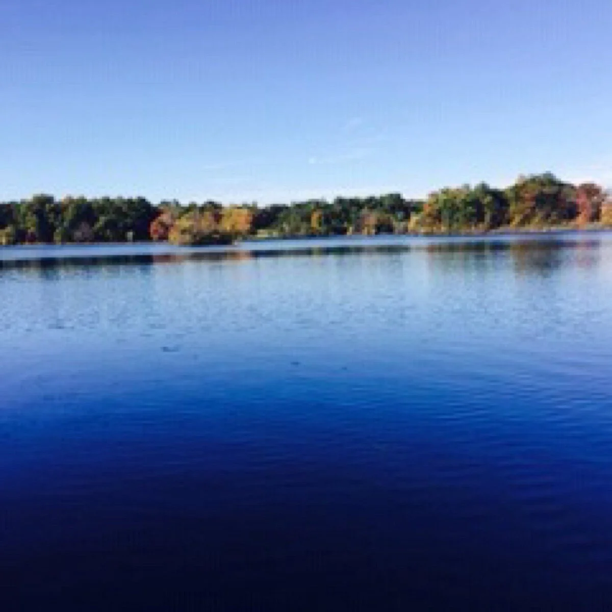 Island Lake State Recreation Area