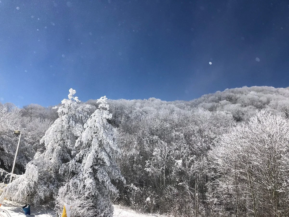 Cataloochee Ski Area