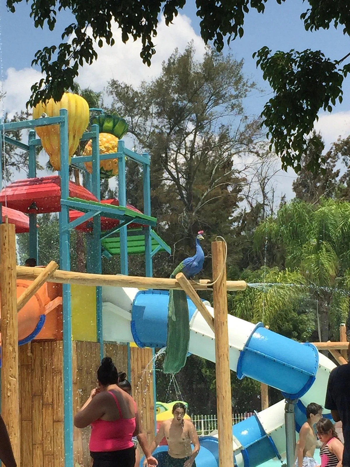 Parque Acuatico Agua Caliente
