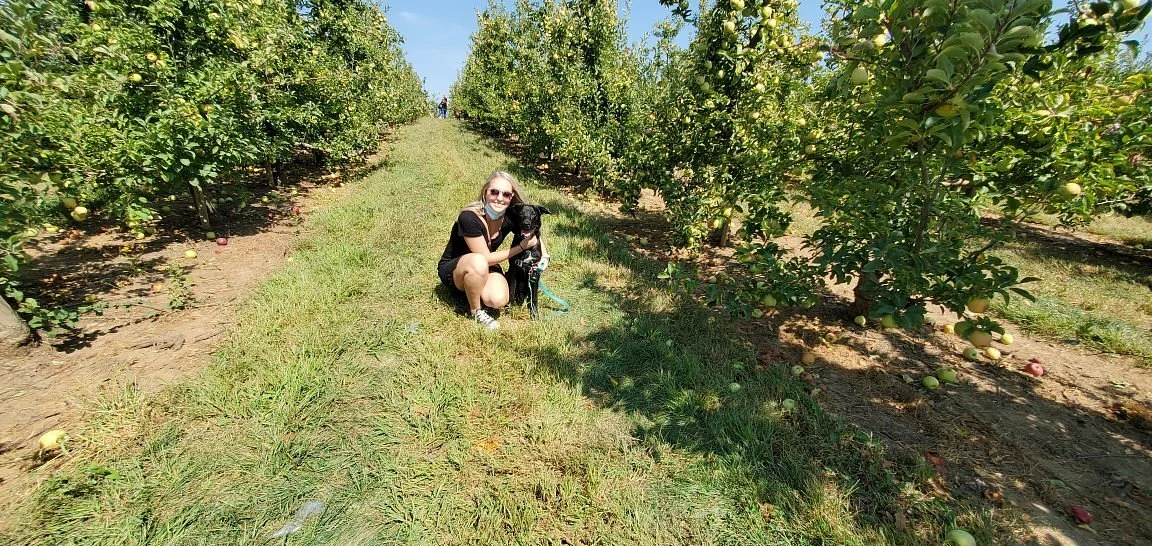 Eckert's Belleville Farm