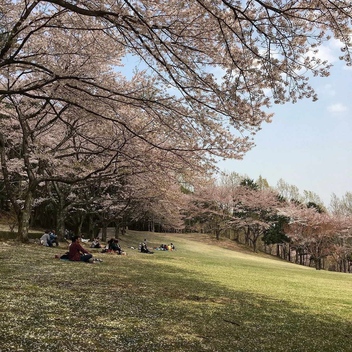 Matsuzaka City Forest Park