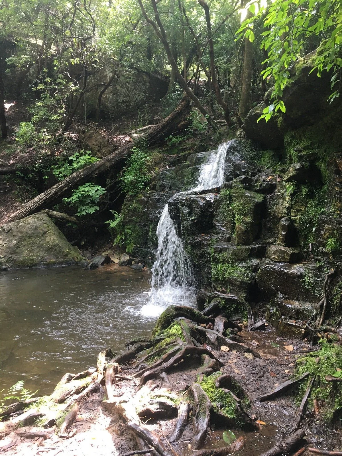 Pine Mountain Trail