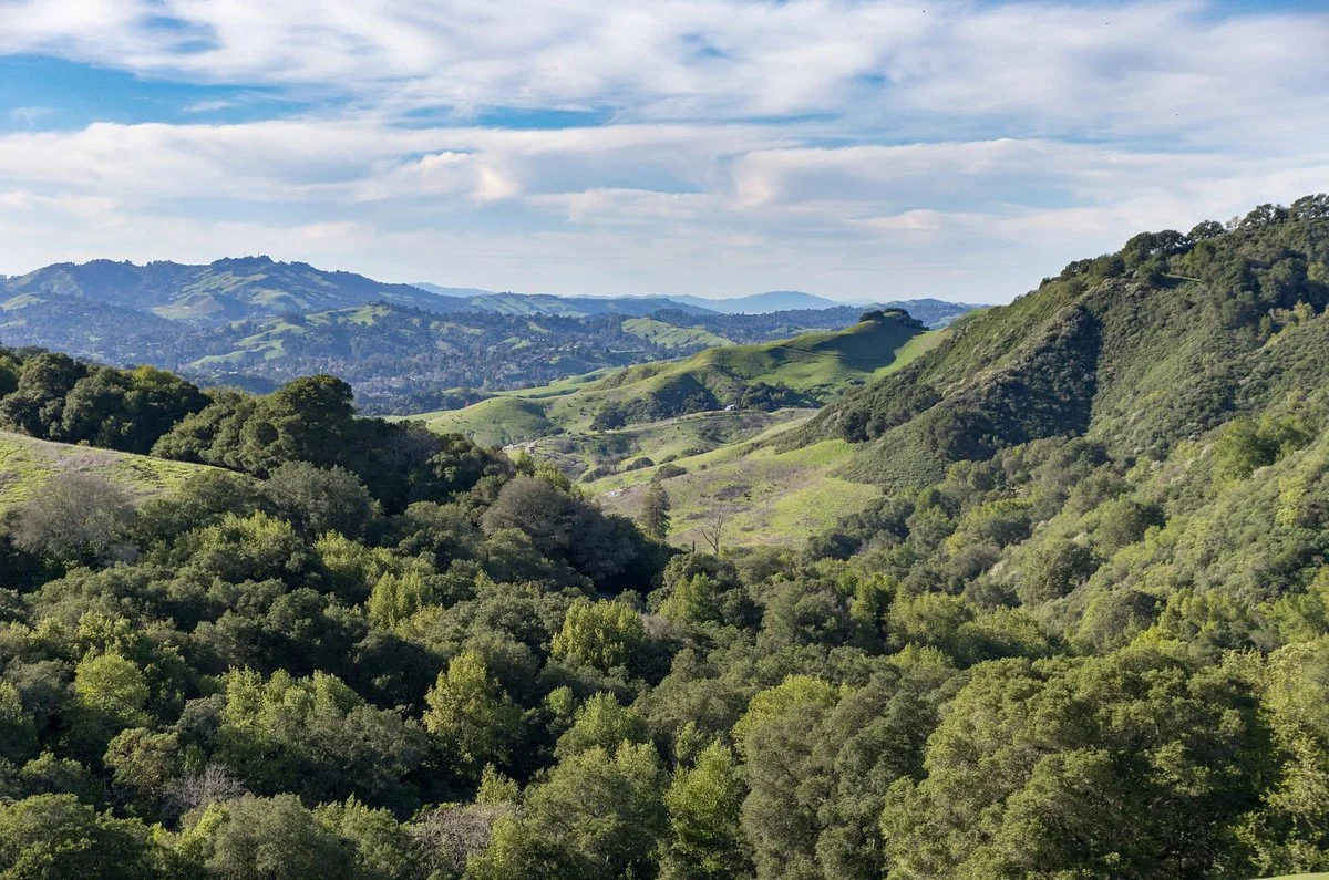 Las Trampas Regional Wilderness