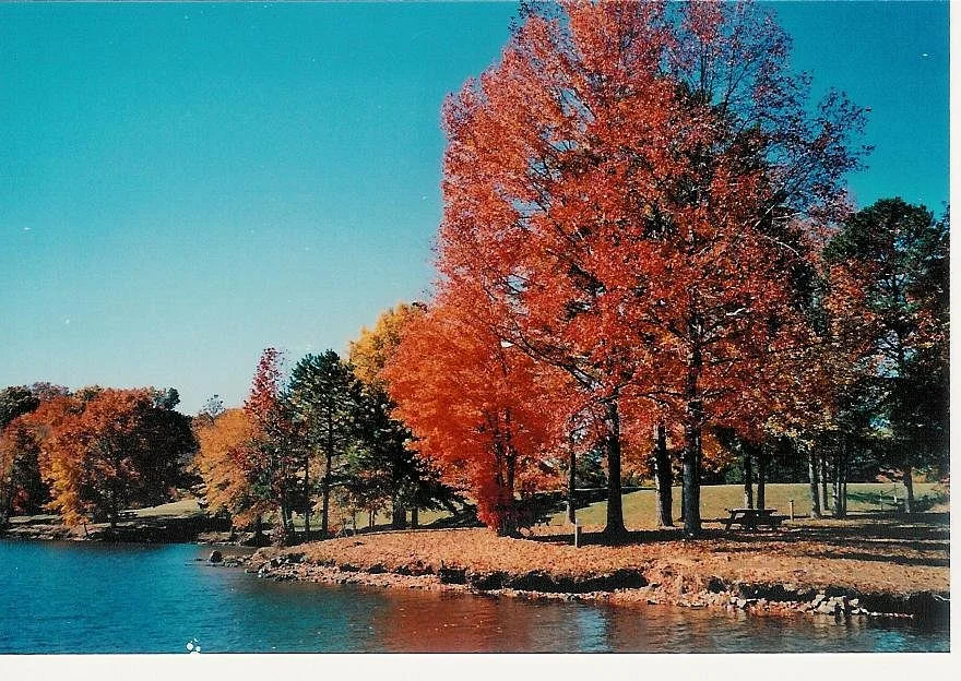 Cane Creek Park