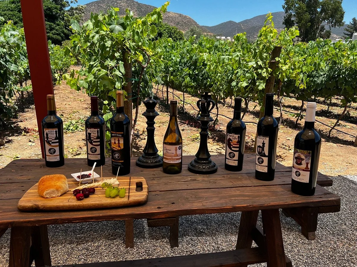 Atp Vinos y Familia