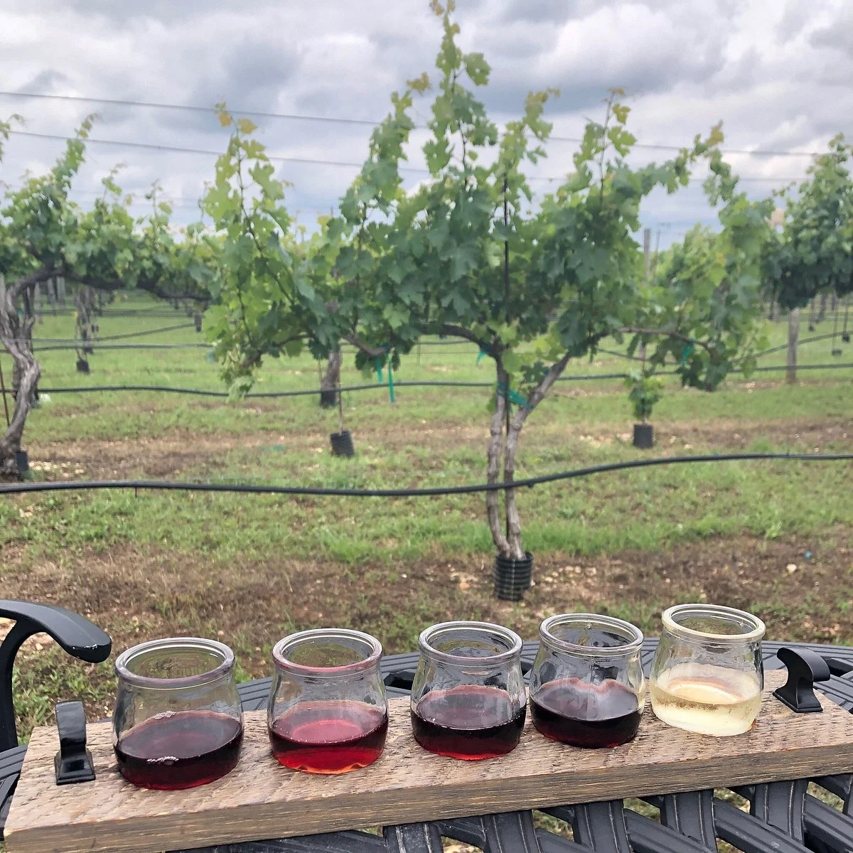3 Texans Winery