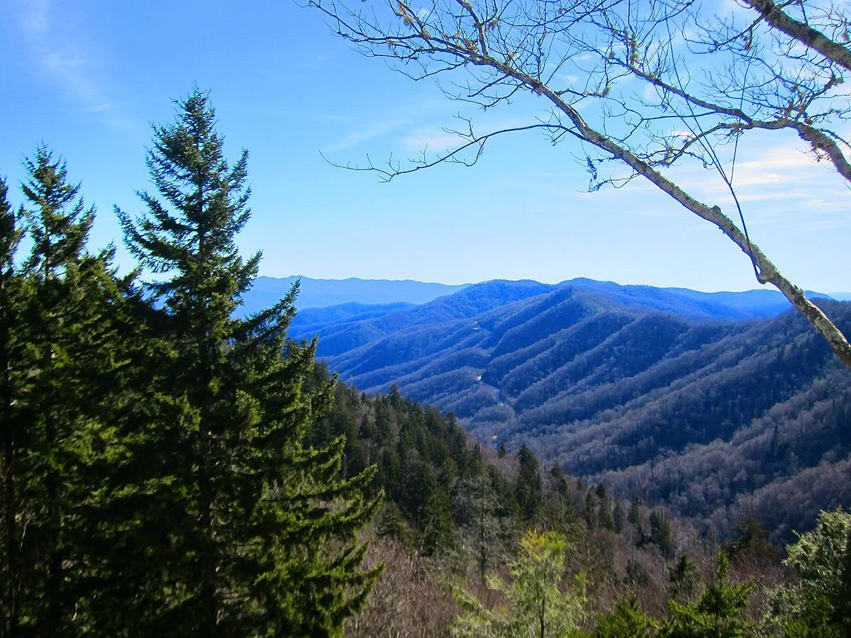 Newfound Gap