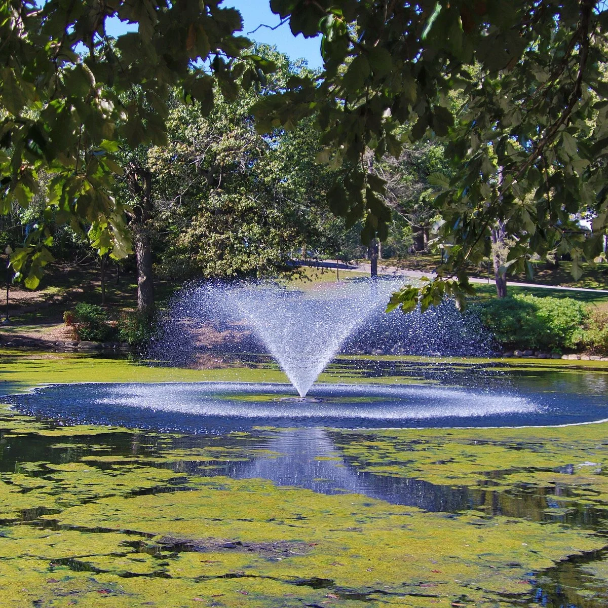 Lords Park
