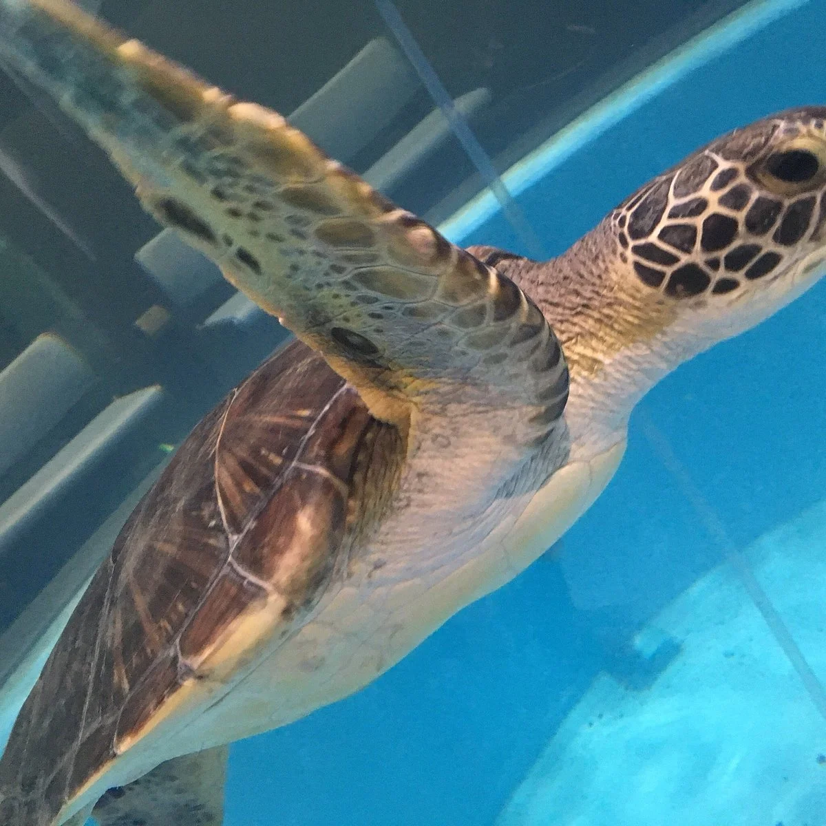 Muroto Haiko Aquarium