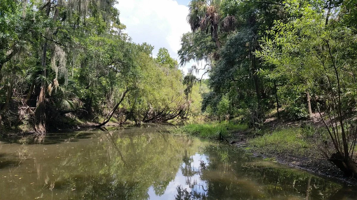 Aldermans Ford Conservation Park