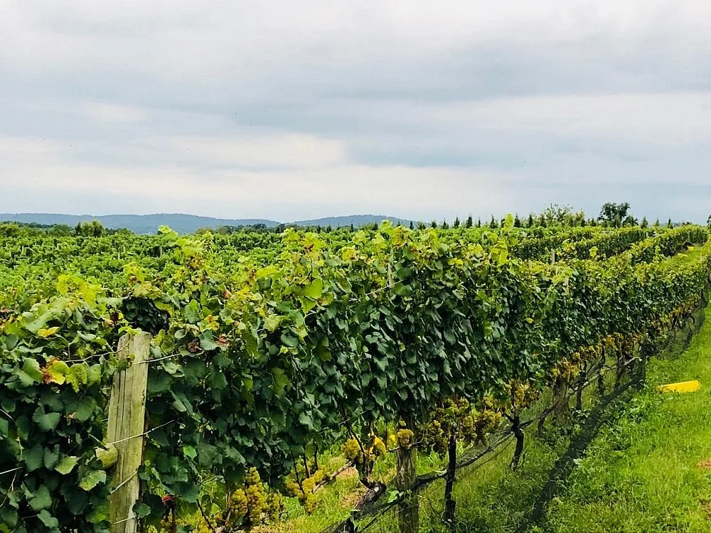 Tarara Winery