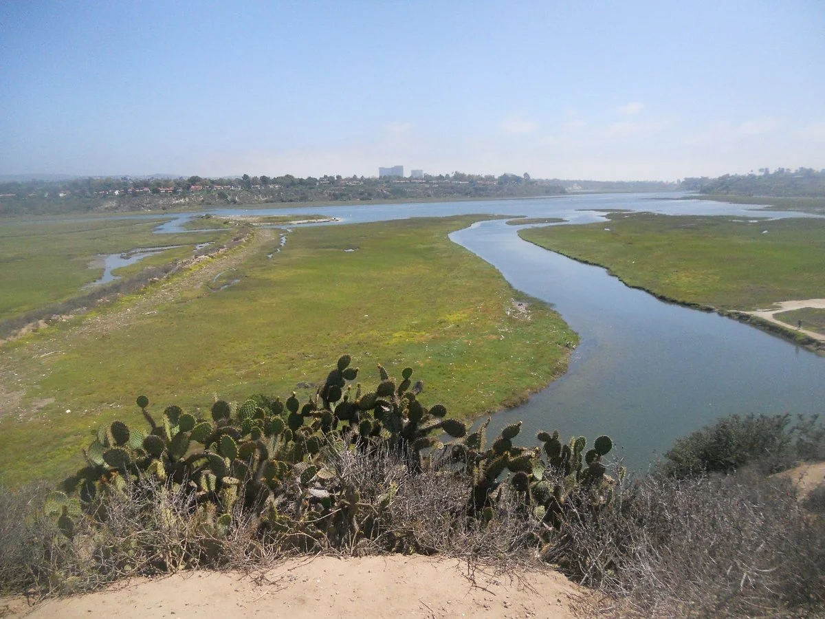 Upper Newport Bay Nature Preserve