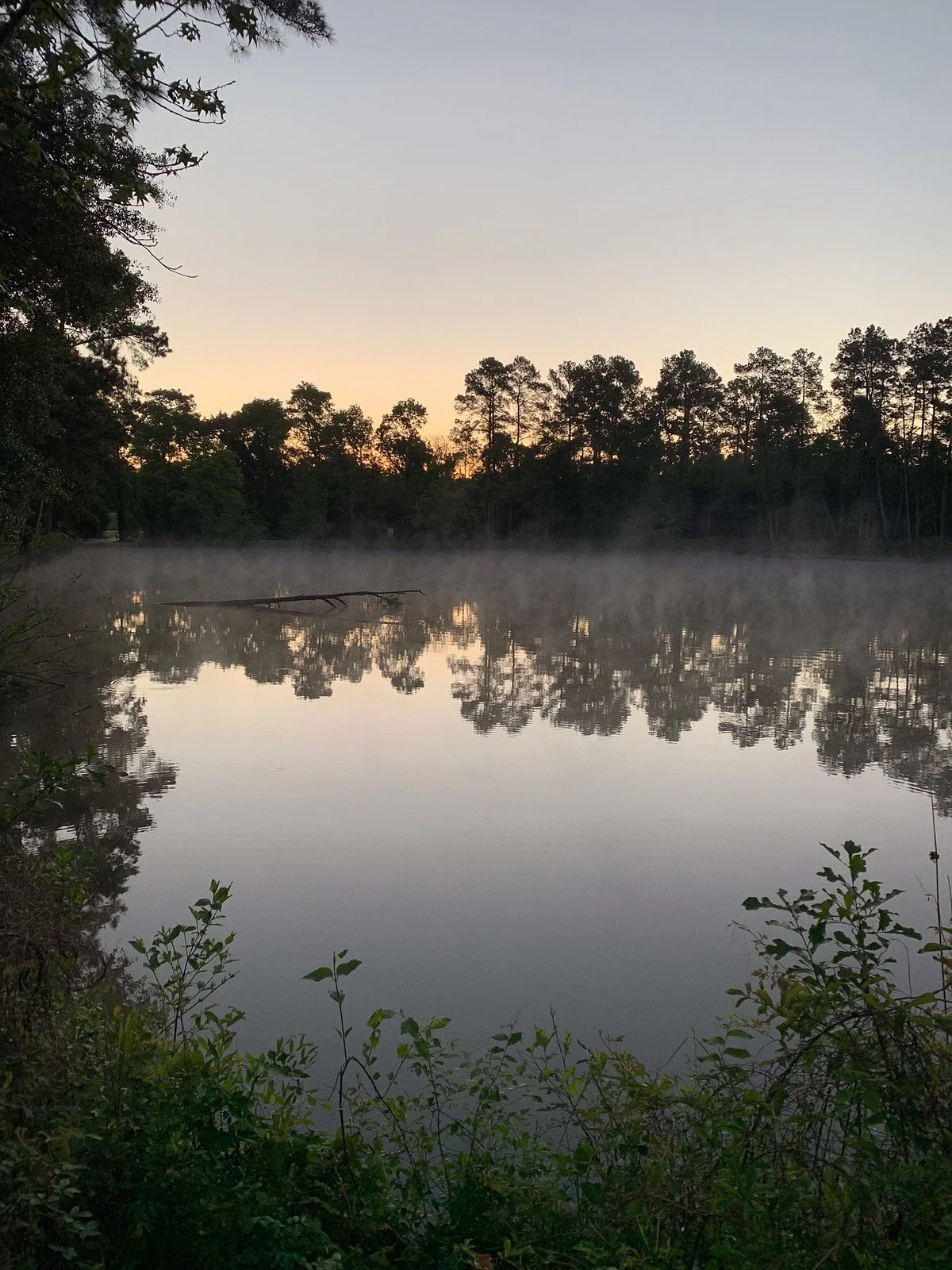 Meyer Park