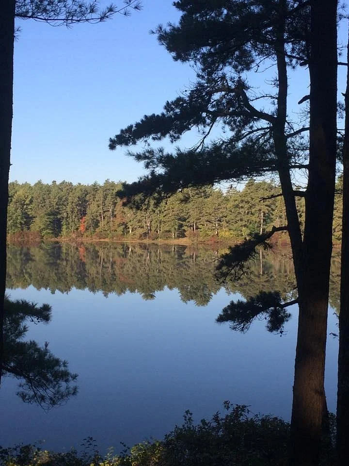 Myles Standish State Forest