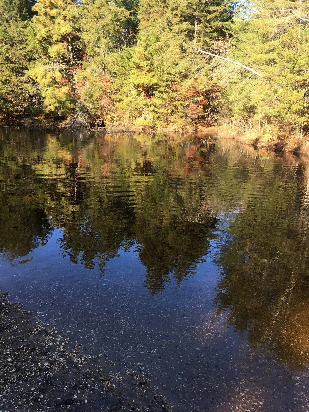 Double Trouble State Park