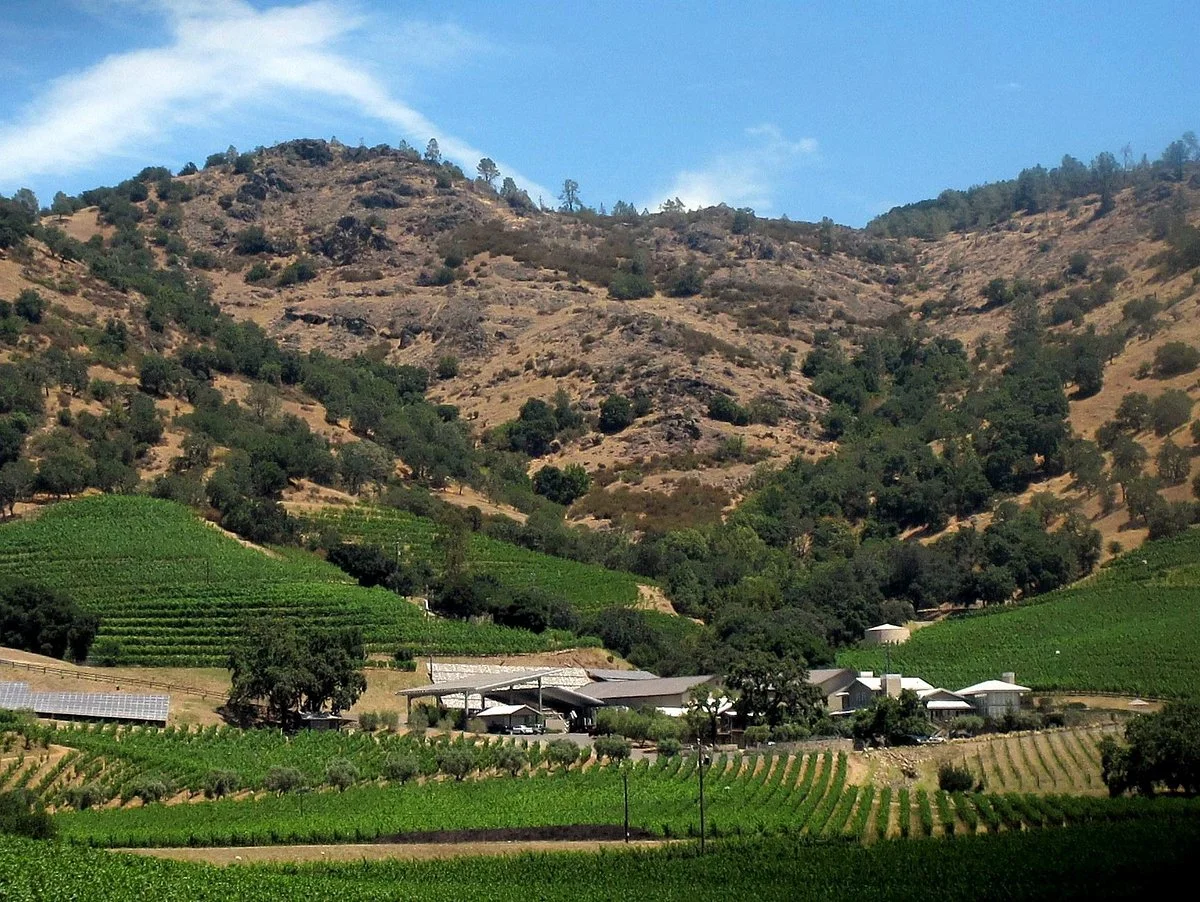 Shafer Vineyards