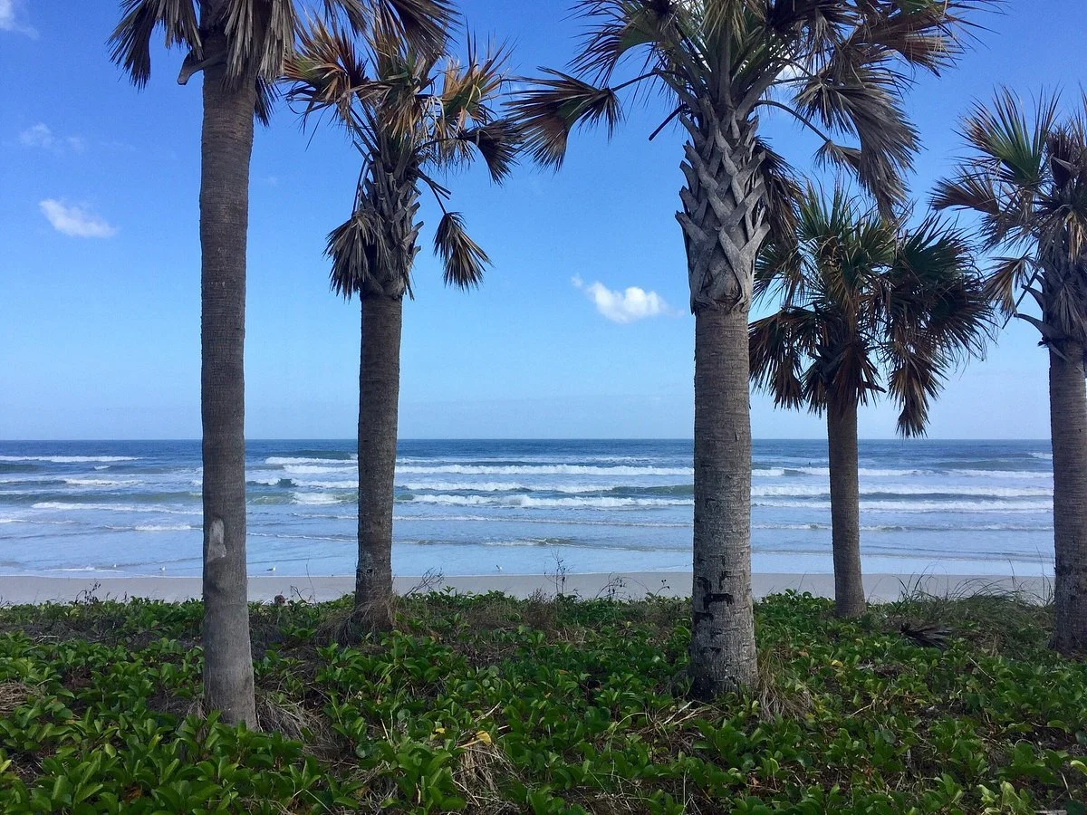 Andy Romano Beachfront Park