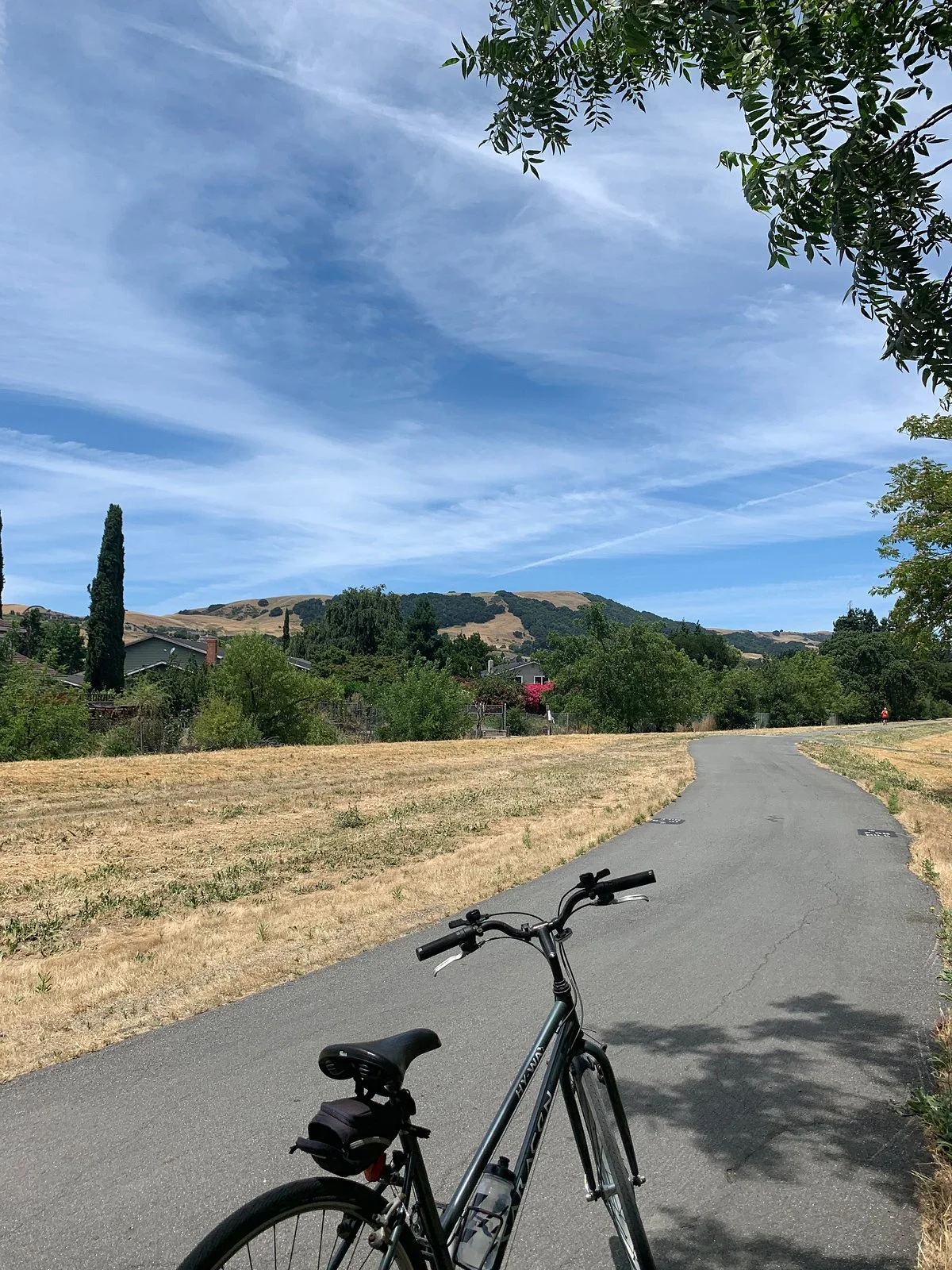 Iron Horse Trail