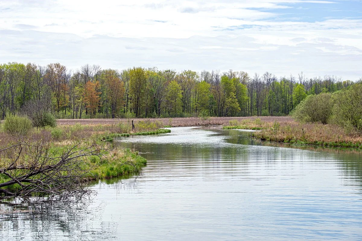 Buckhorn Island State Park