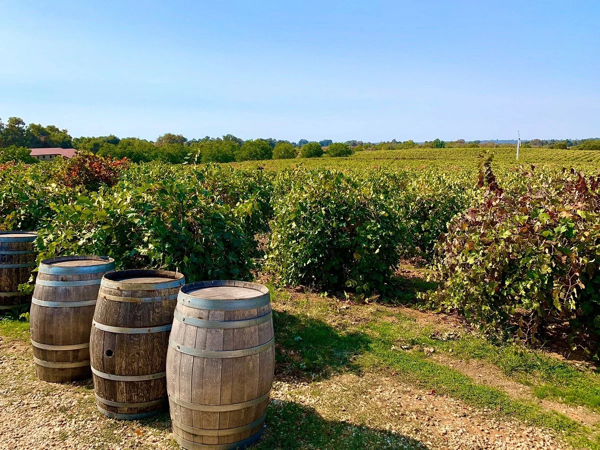 Cooper Vineyards