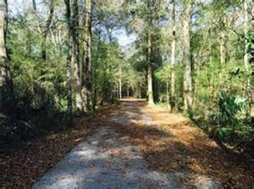 Black Creek Trail