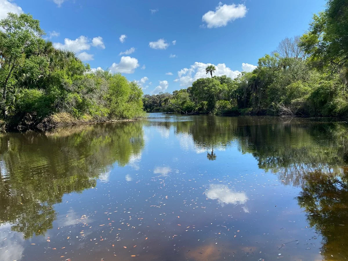 Sleeping Turtles Preserve North