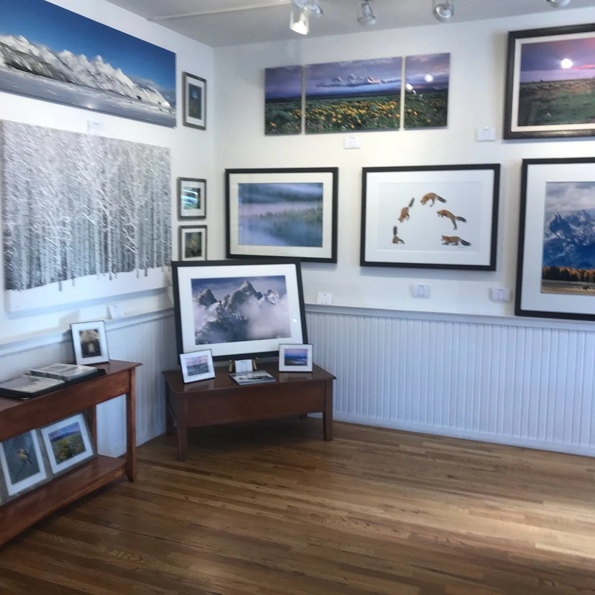Wild By Nature Gallery