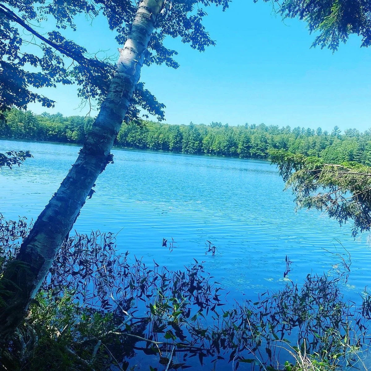 Hardy Lake Provincial Park